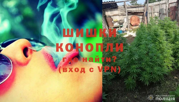 трава Бронницы