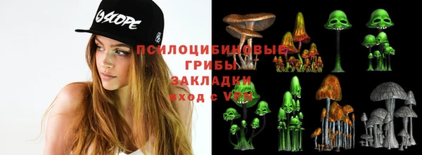 трава Бронницы