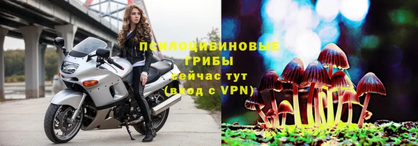 трава Бронницы