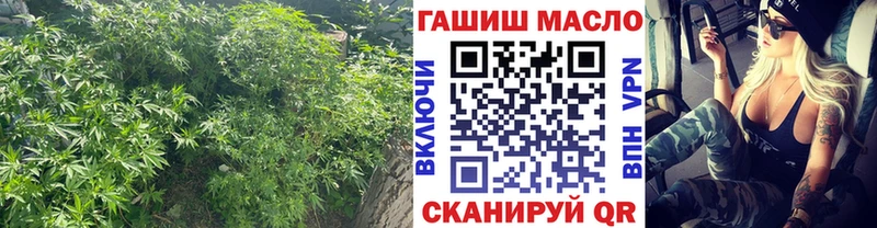 маркетплейс Telegram  Шахты  Дистиллят ТГК гашишное масло 