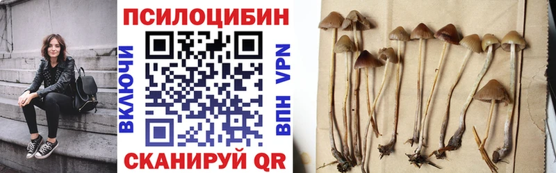Галлюциногенные грибы ЛСД omg как войти Шахты